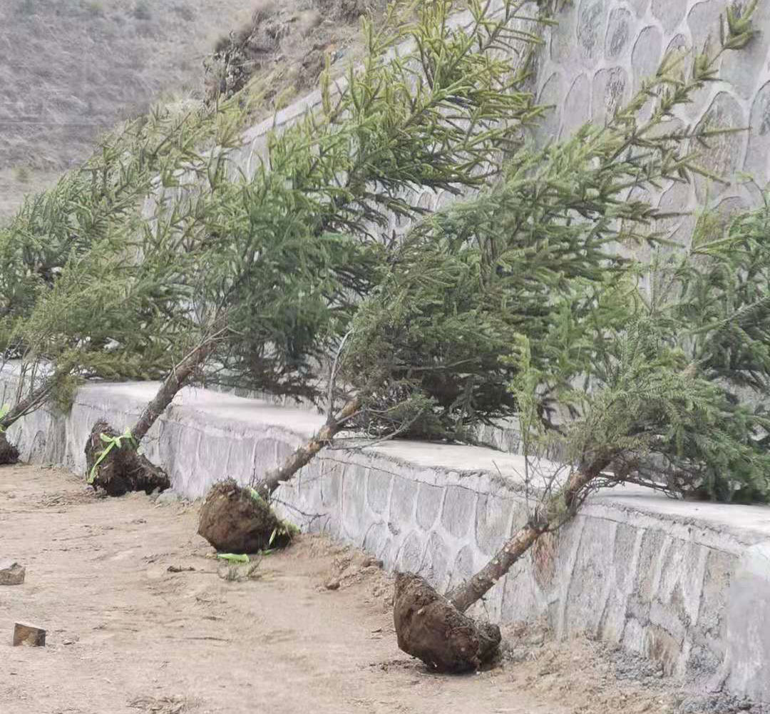 图层-3.jpg