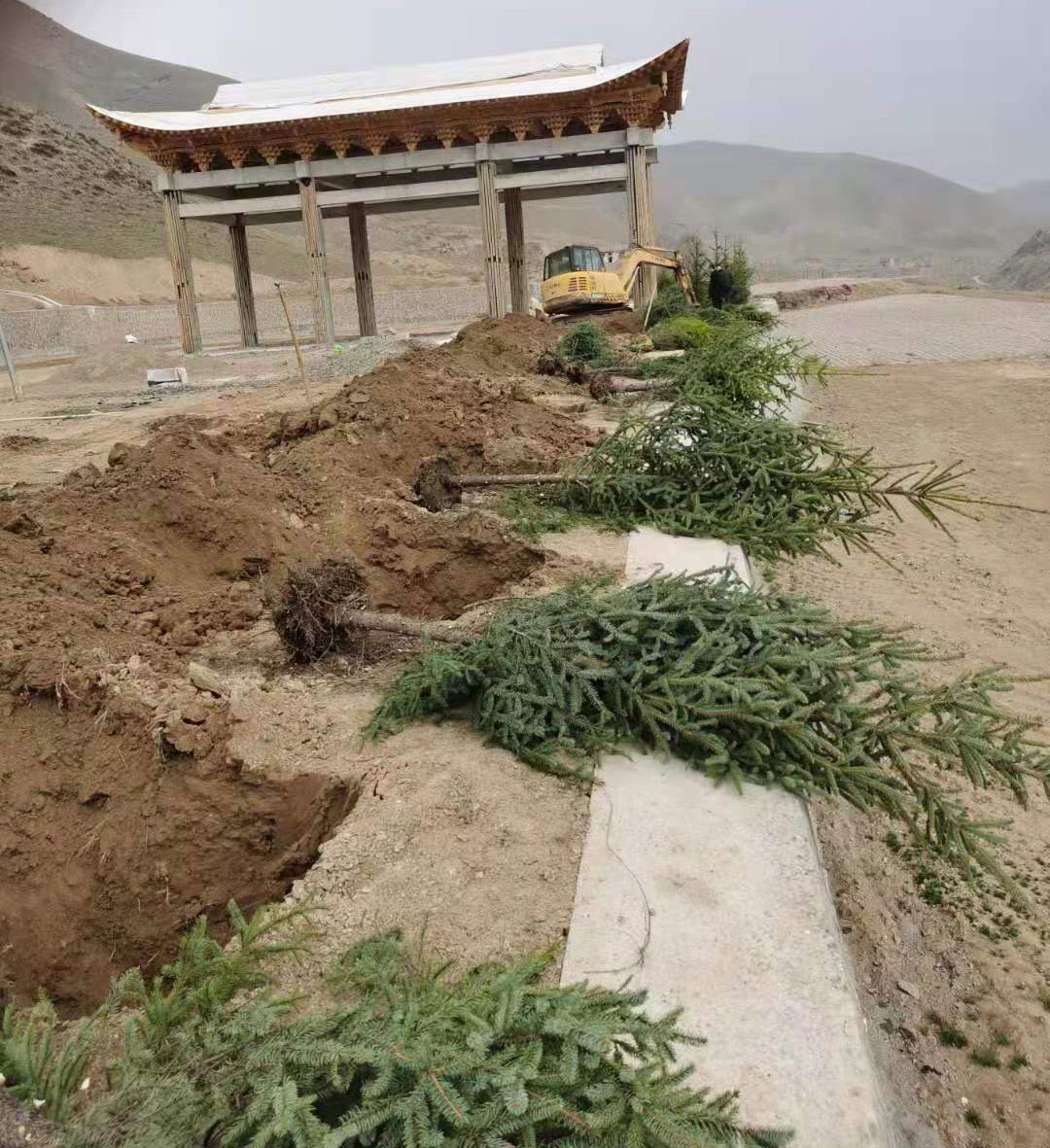 图层-5.jpg